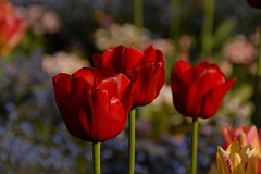 Day10 (184)